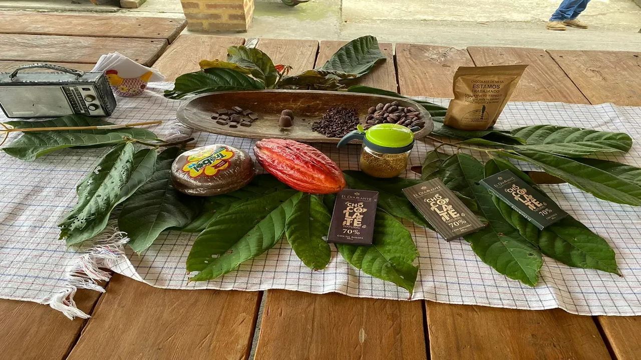 Expérience De Chocolat Artisanal À Quindío foto 2