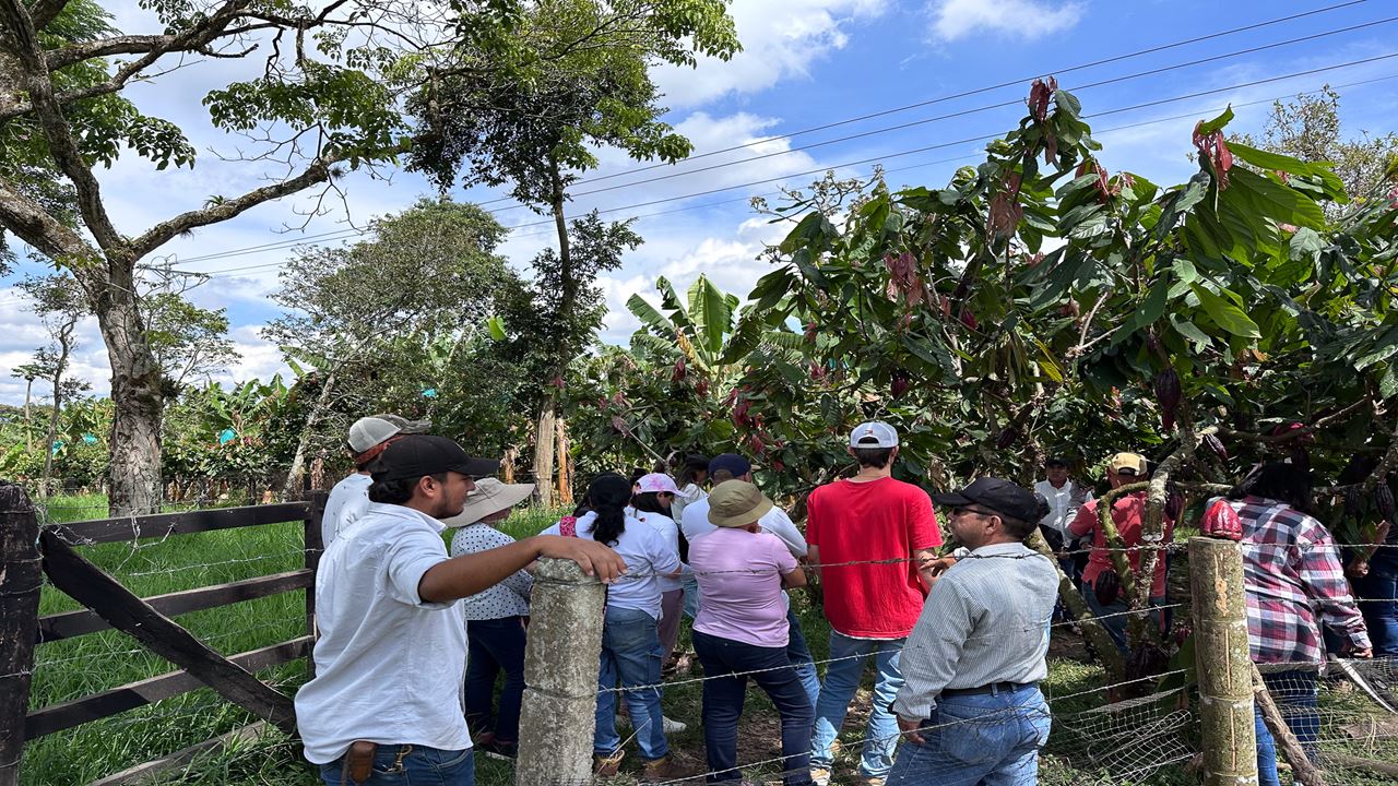 Expérience De Chocolat Artisanal À Quindío foto 5