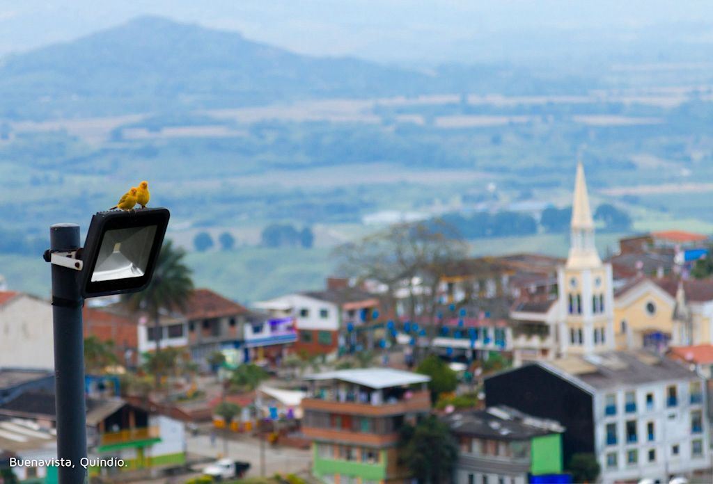 Besichtigung Der Städte Quindío: Córdoba, Pijao Und Buenavista
 foto 2