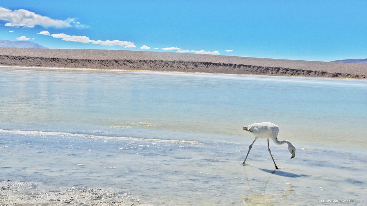 4x4 Ausflug Nach Laguna Brava foto 7