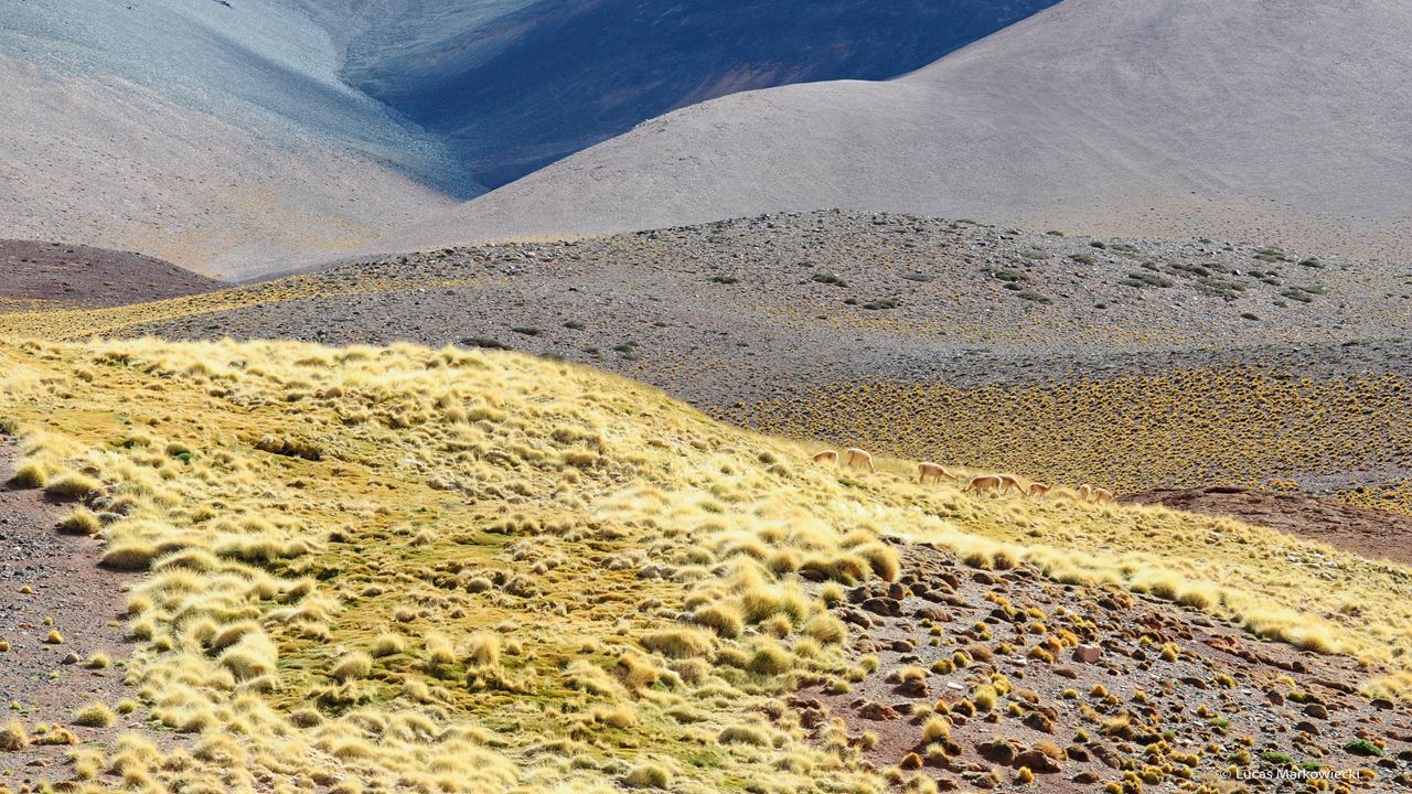 4x4 Ausflug Nach Laguna Brava foto 9
