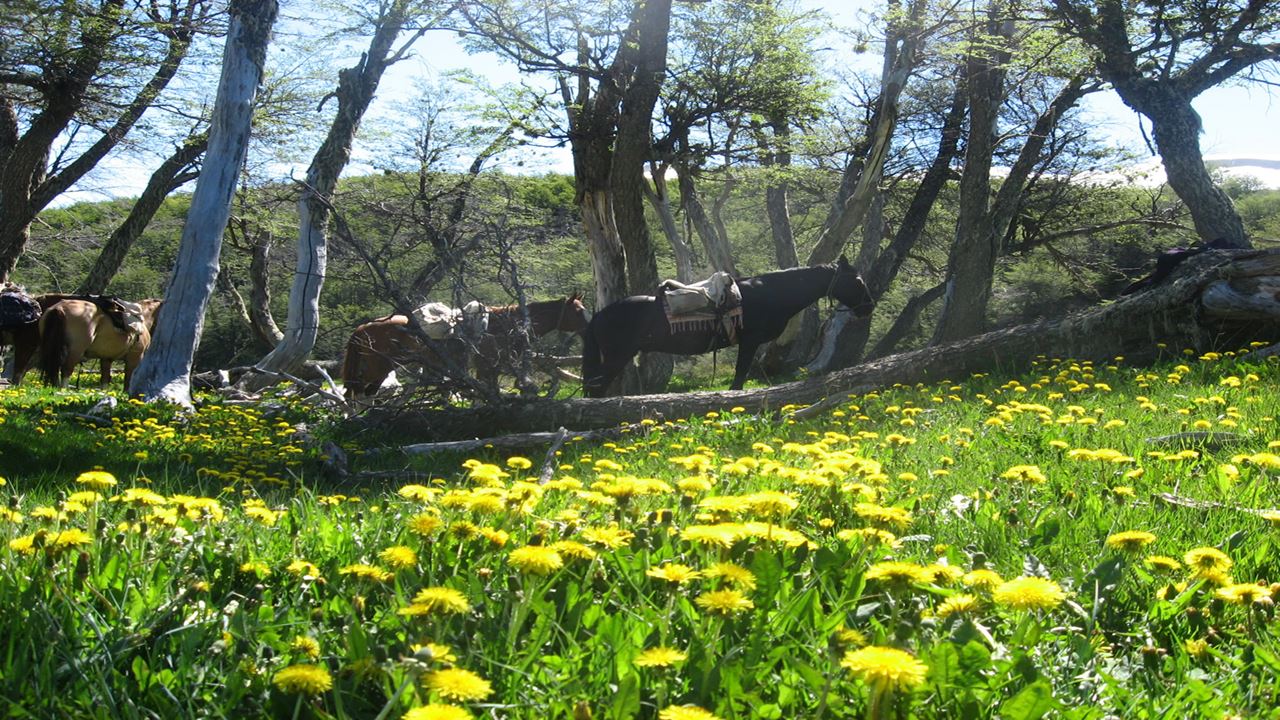 Horseback Riding Around Roca Lake foto 1