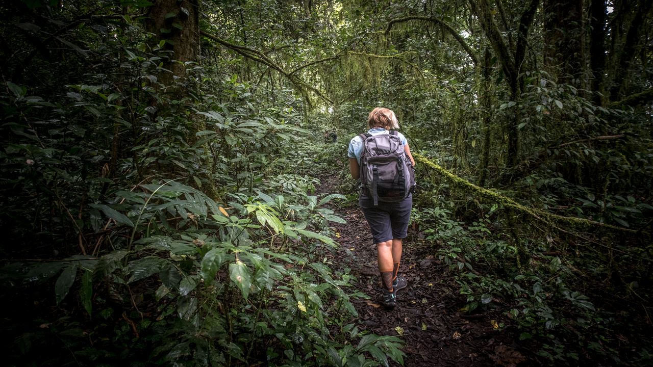 Trekking Ao Pico Pan De Açúcar foto 4
