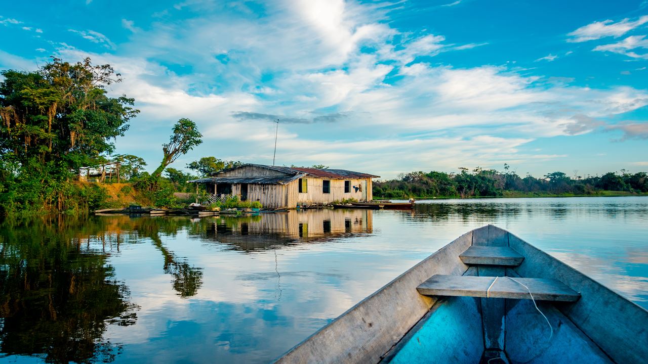 Flüsse Des Amazonas foto 5