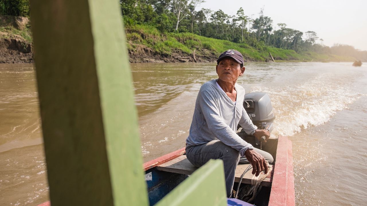 Flüsse Des Amazonas foto 4