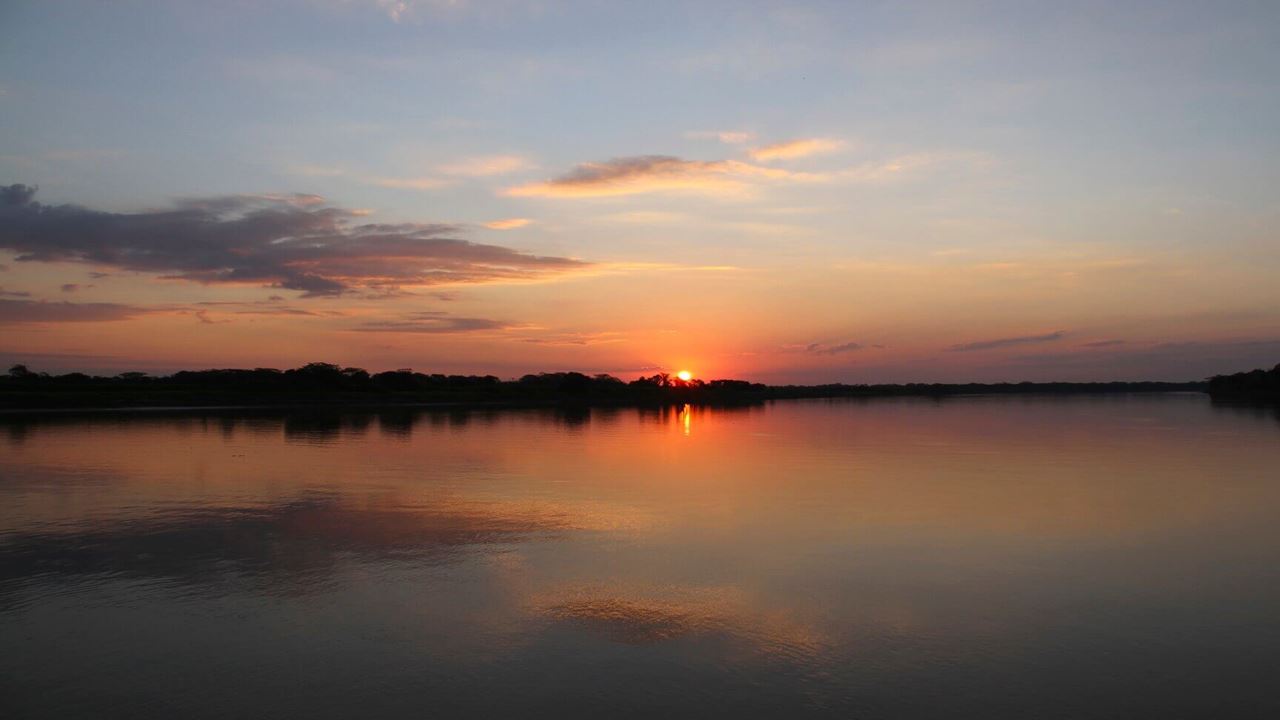 Flüsse Des Amazonas foto 1
