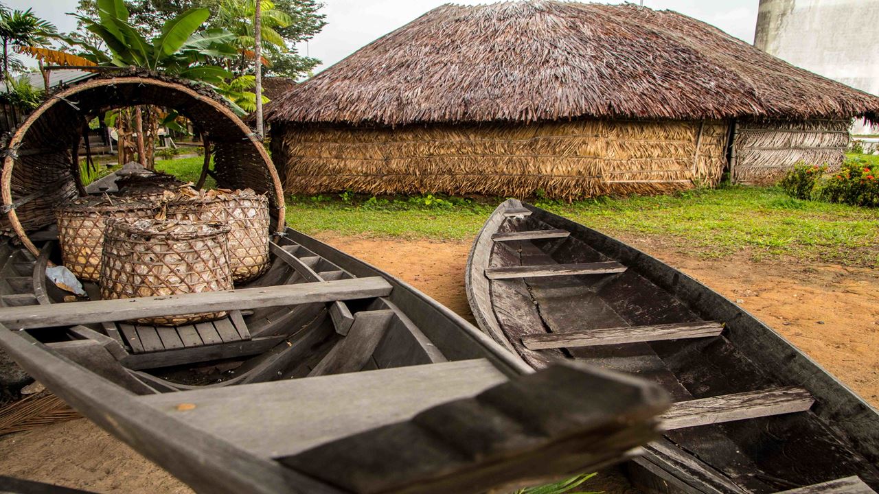Flüsse Des Amazonas foto 2