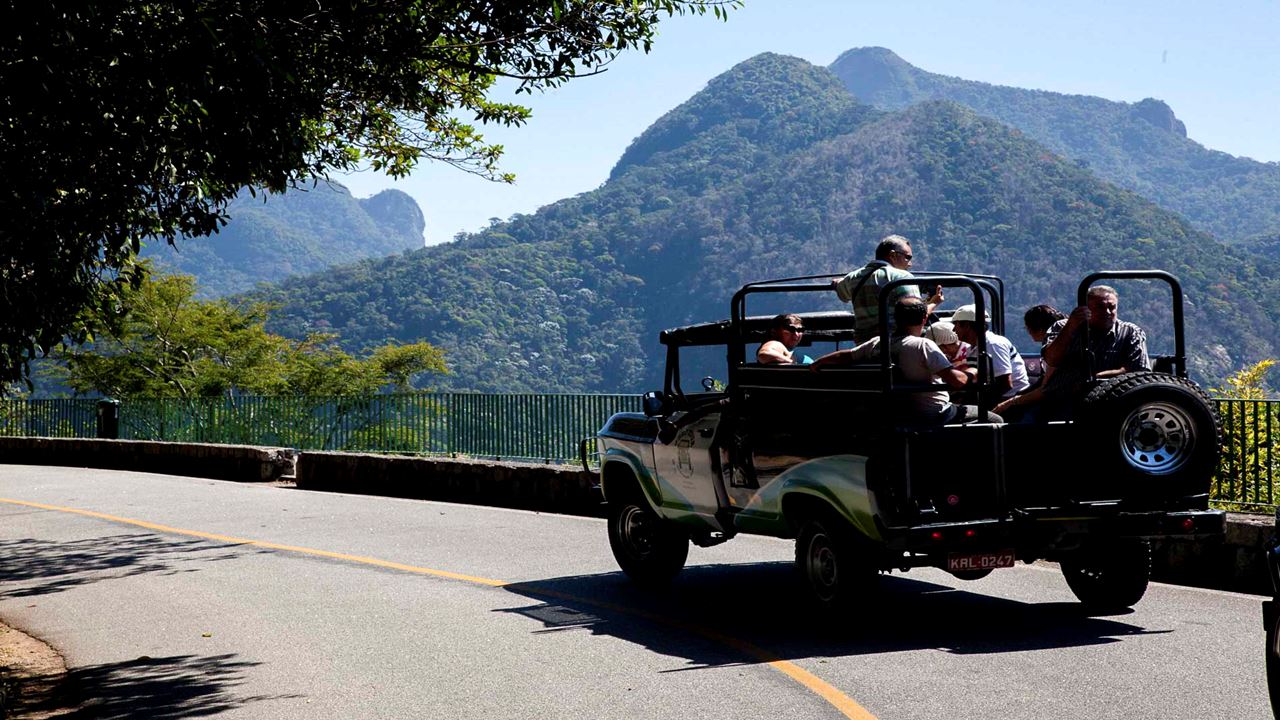 Christ The Redeemer Statue And Sugarloaf With Tickets foto 1