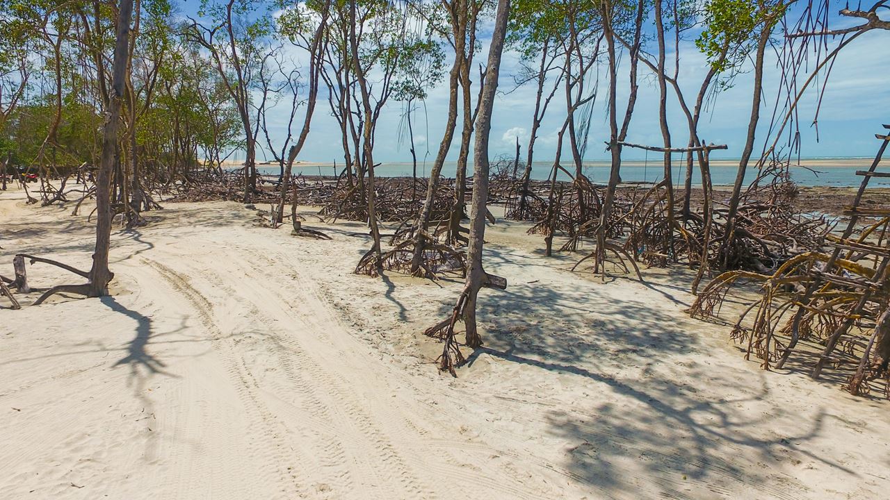Balade Privée En Buggy À Mangue Seco foto 2