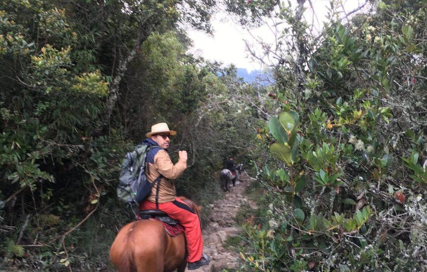 Passeio A Cavalo Pelas Colinas Orientais De Bogotá foto 6