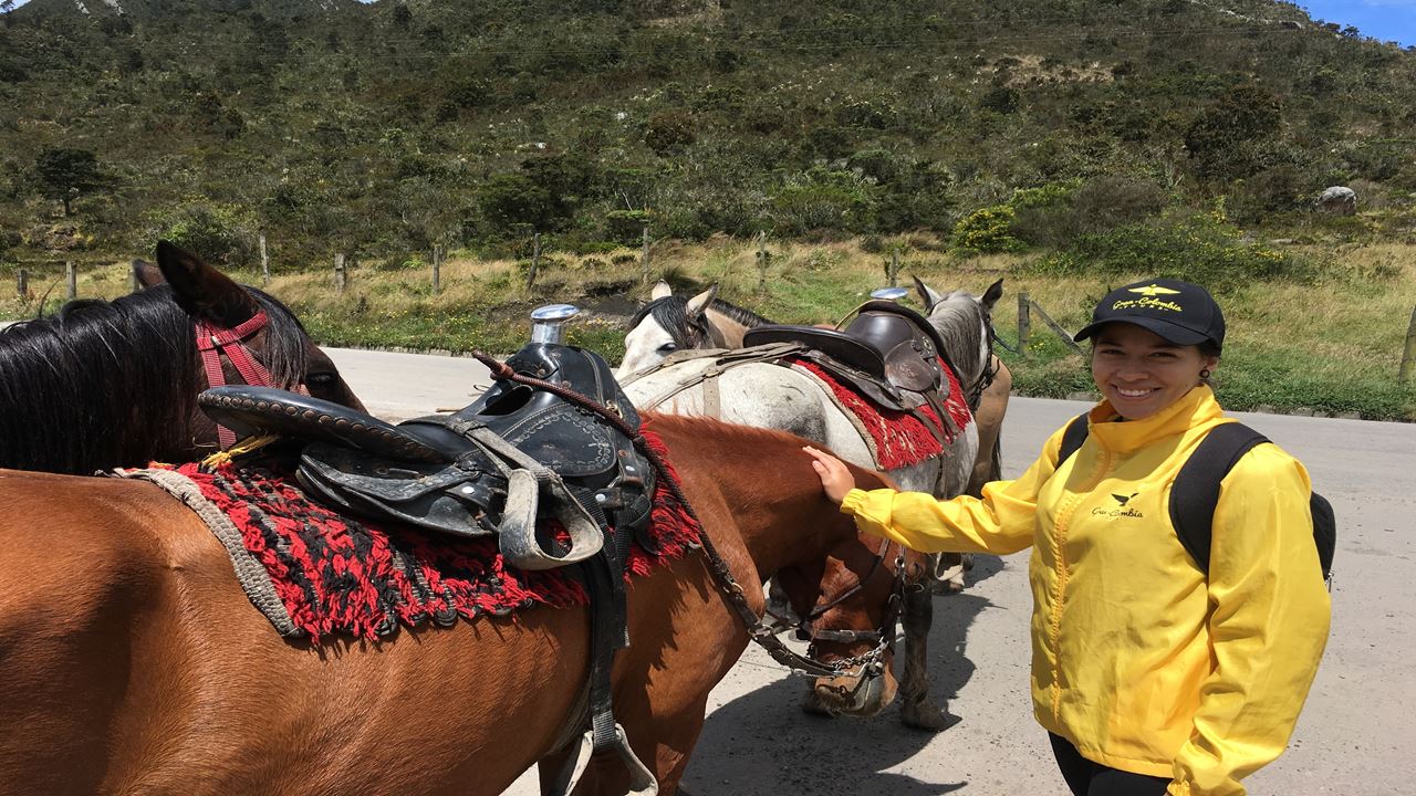 Passeio A Cavalo Pelas Colinas Orientais De Bogotá foto 1