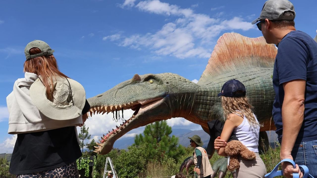 Visite Du Parc Gondava Et De La Ferme D`autruches foto 6