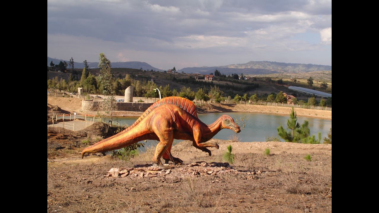 Visite Du Parc Gondava Et De La Ferme D`autruches foto 3