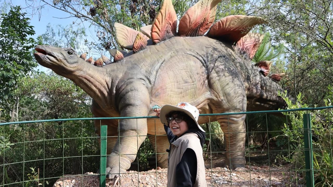 Visite Du Parc Gondava Et De La Ferme D`autruches foto 5
