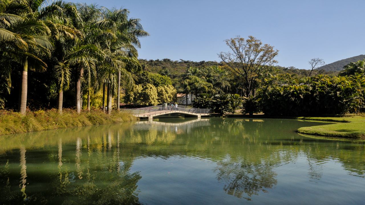 Passeio Ao Museu De Inhotim foto 5