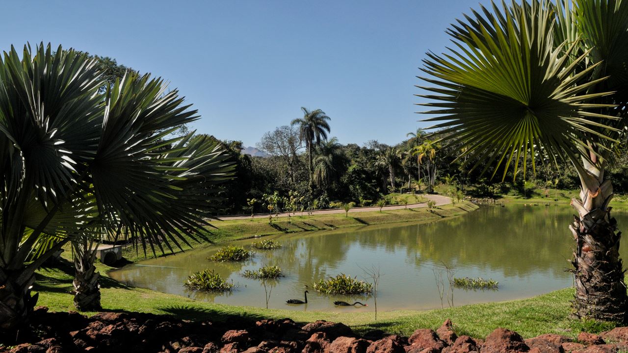 Passeio Ao Museu De Inhotim foto 10