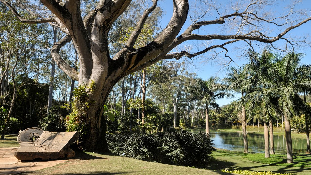 Passeio Ao Museu De Inhotim foto 1