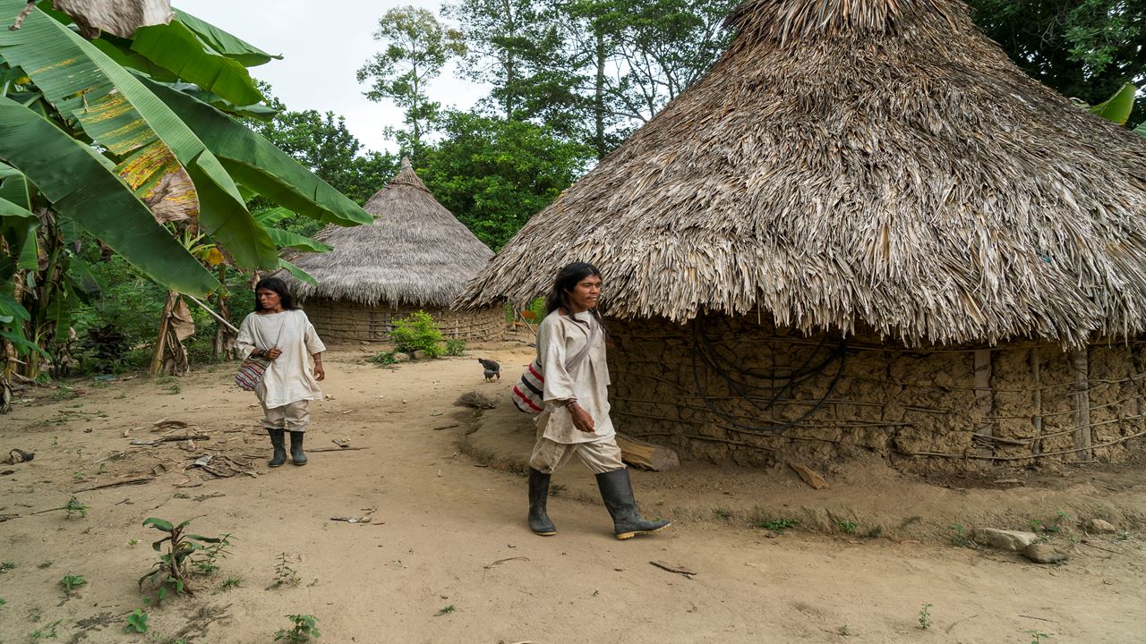 Village Taiku Et Trekking Dans Le Parc Tayrona foto 1