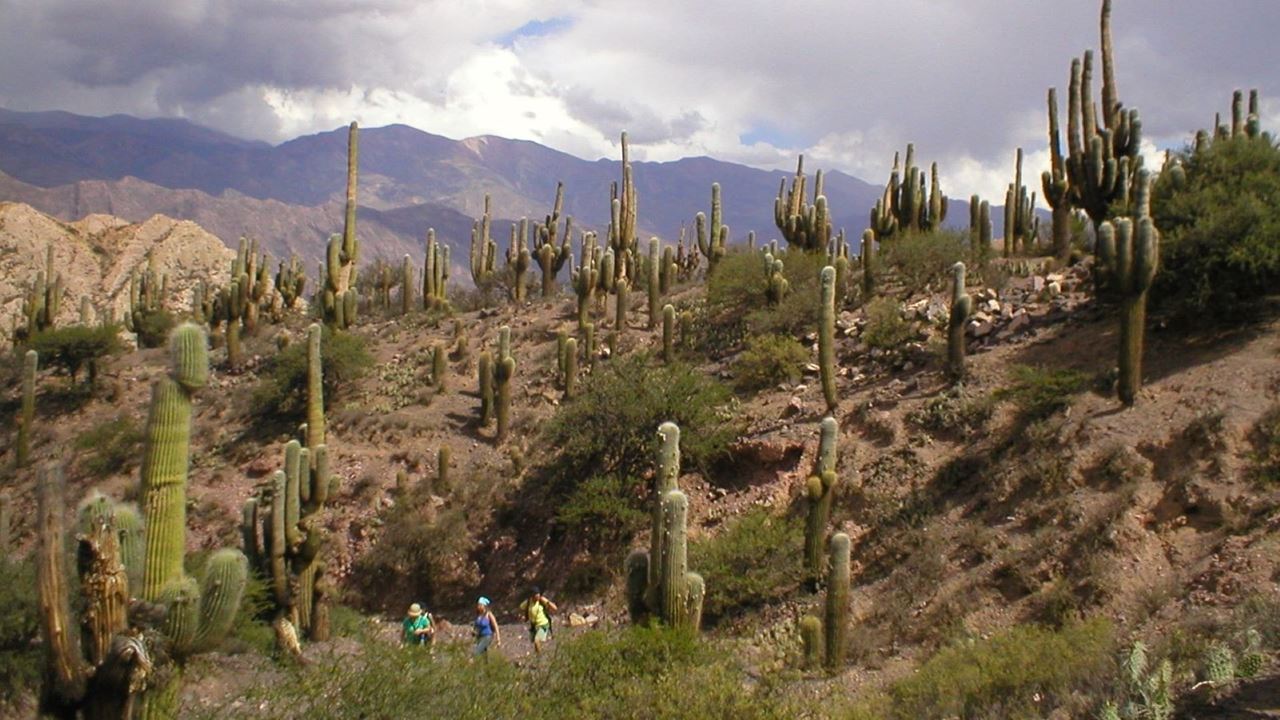 Trekking To Devil`s Throat foto 3