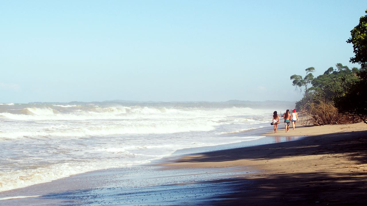 Discover Palomino Full Day Tour foto 4