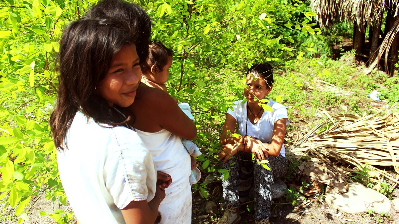 Discover Palomino Full Day Tour foto 3