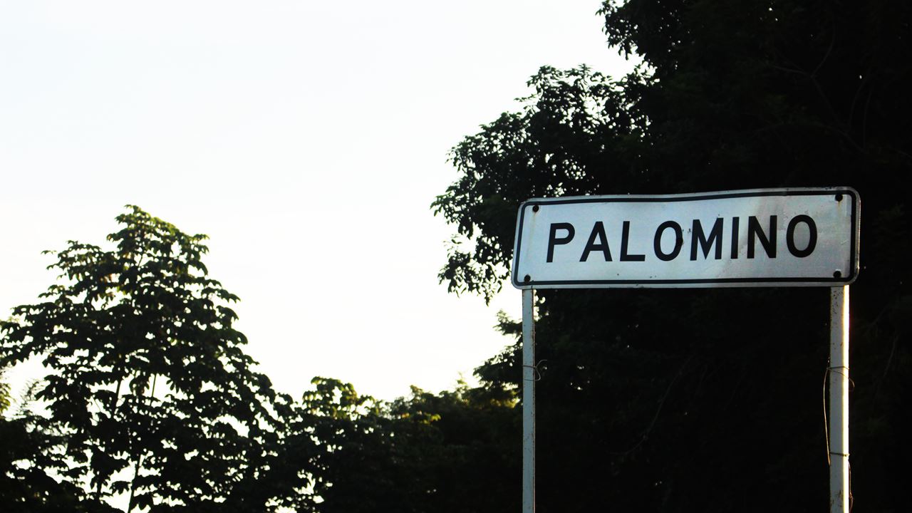 Discover Palomino Full Day Tour foto 1