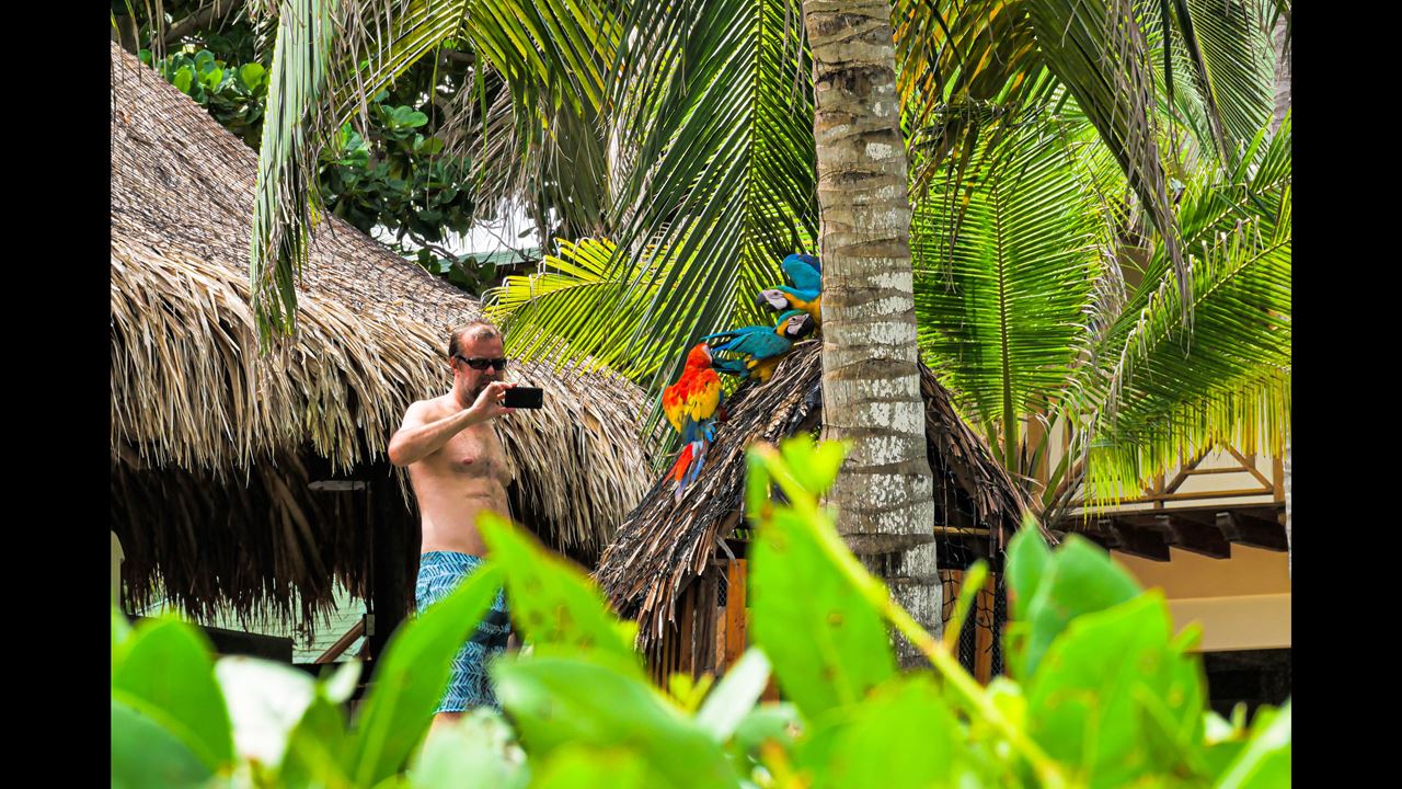Passeio A Playa Blanca - Praia Mambo Barú foto 6