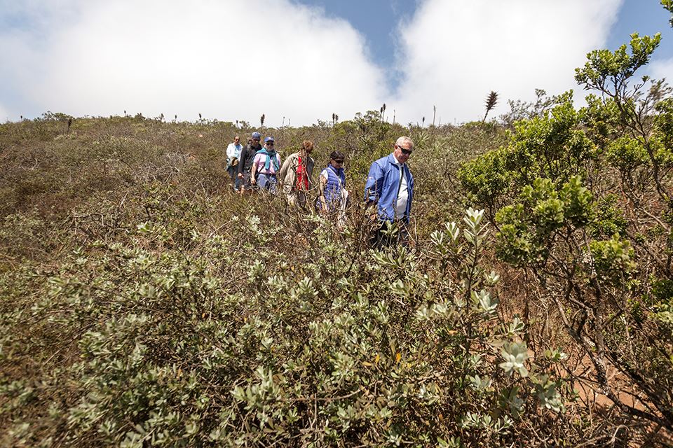 Trekking Fray Jorge National Park Natural And Cultural Wonder foto 7