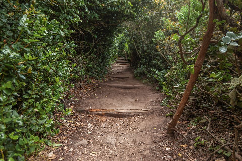 Trekking Fray Jorge National Park Natural And Cultural Wonder foto 16