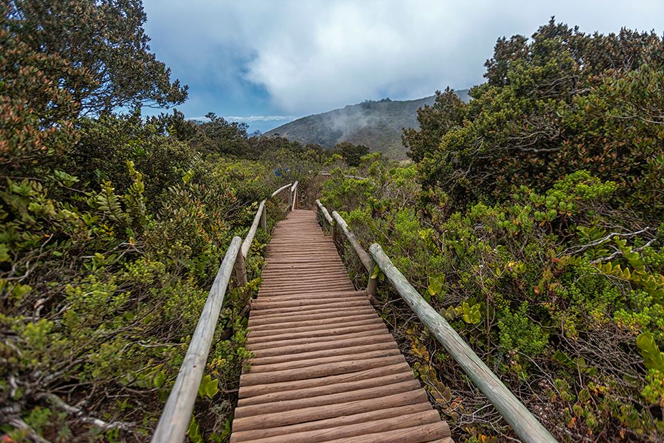 Trekking Fray Jorge National Park Natural And Cultural Wonder foto 11