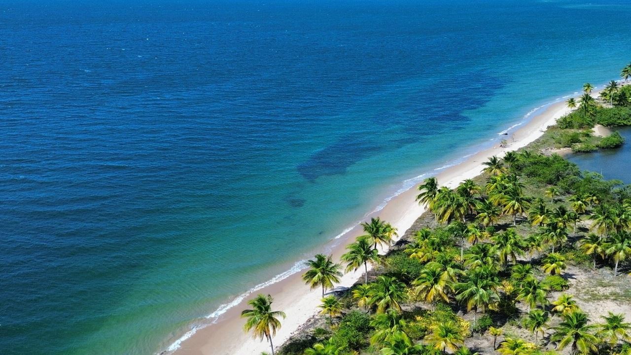 Promenade En Bateau À Travers Les 4 Îles De Camamu foto 4