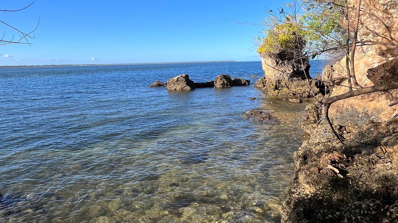 Promenade En Bateau À Travers Les 4 Îles De Camamu foto 5