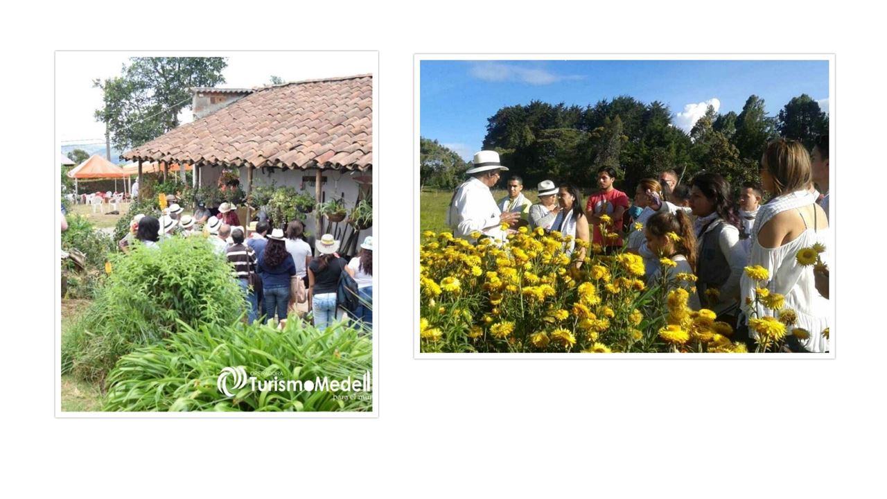 Visite Des Silleteros À Santa Elena - Foire Aux Fleurs 2024 foto 2