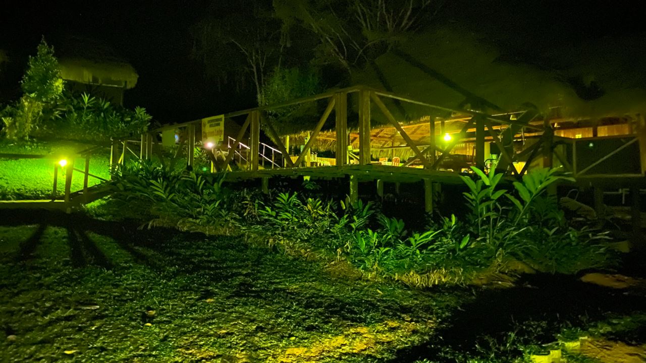 Übernachten Sie In Der Cuyabeno Lodge foto 4
