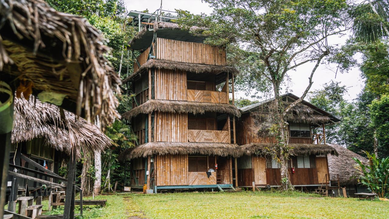 Übernachten Sie In Der Cuyabeno Lodge foto 3