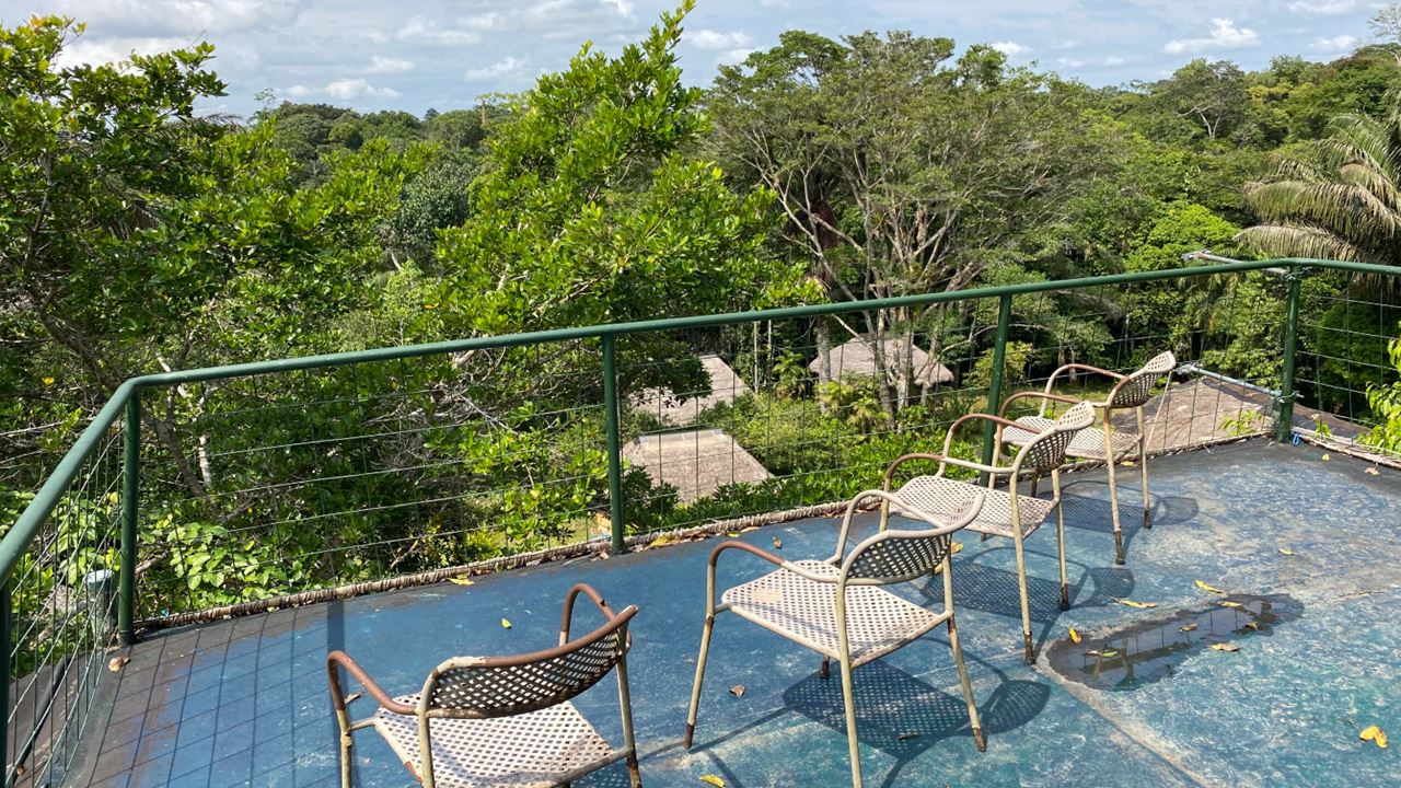 Übernachten Sie In Der Cuyabeno Lodge foto 7