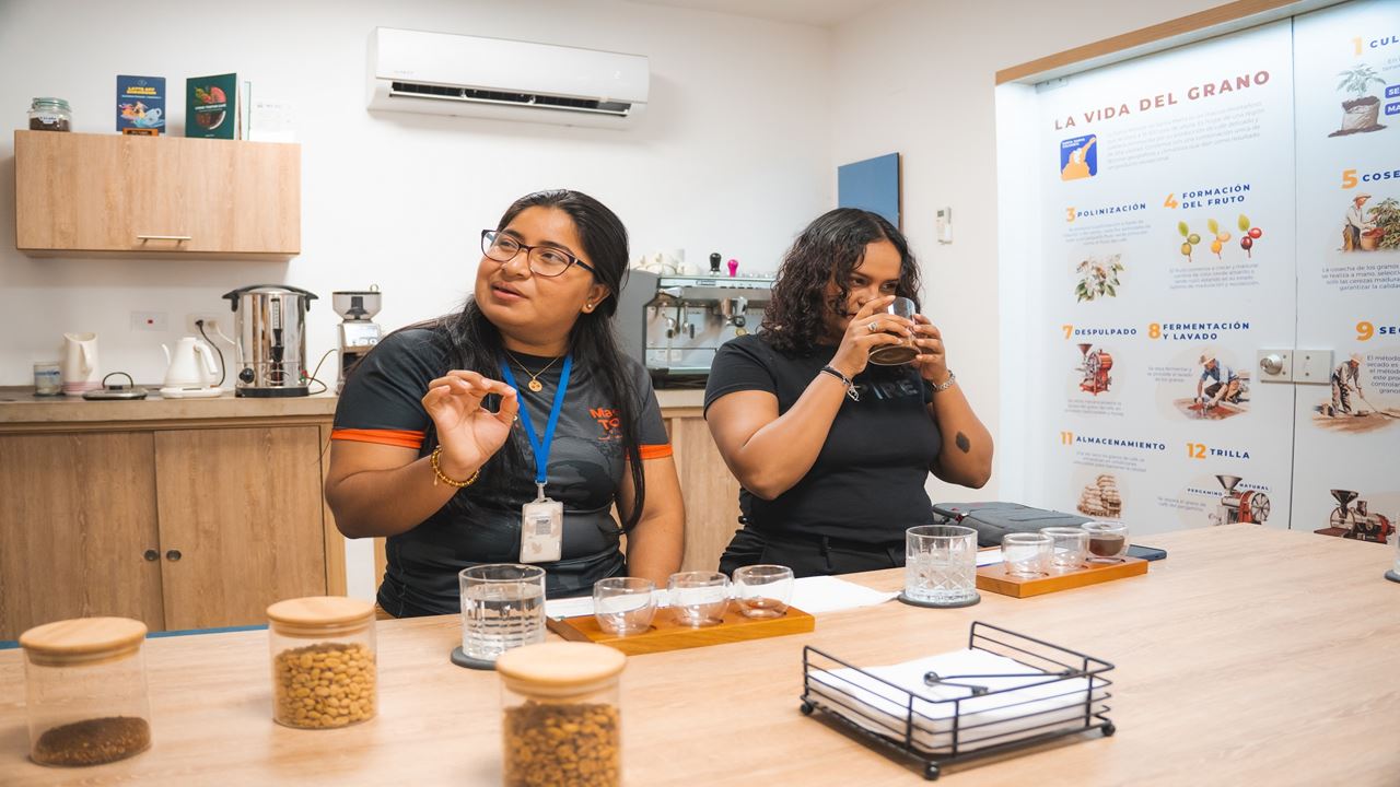 Visite À Pied Avec Dégustation De Café Artisanal foto 6