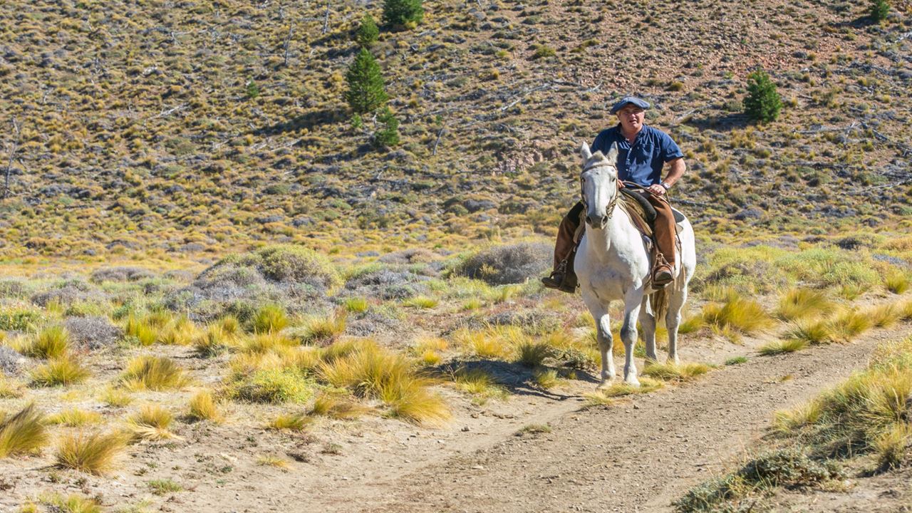 Promo: Small Circuit, Horseback Riding And Airport Transfers foto 3