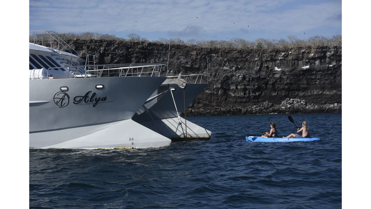 5-tägige Galapagos-kreuzfahrt – Bartolomé, Genovesa Tierwelt foto 2