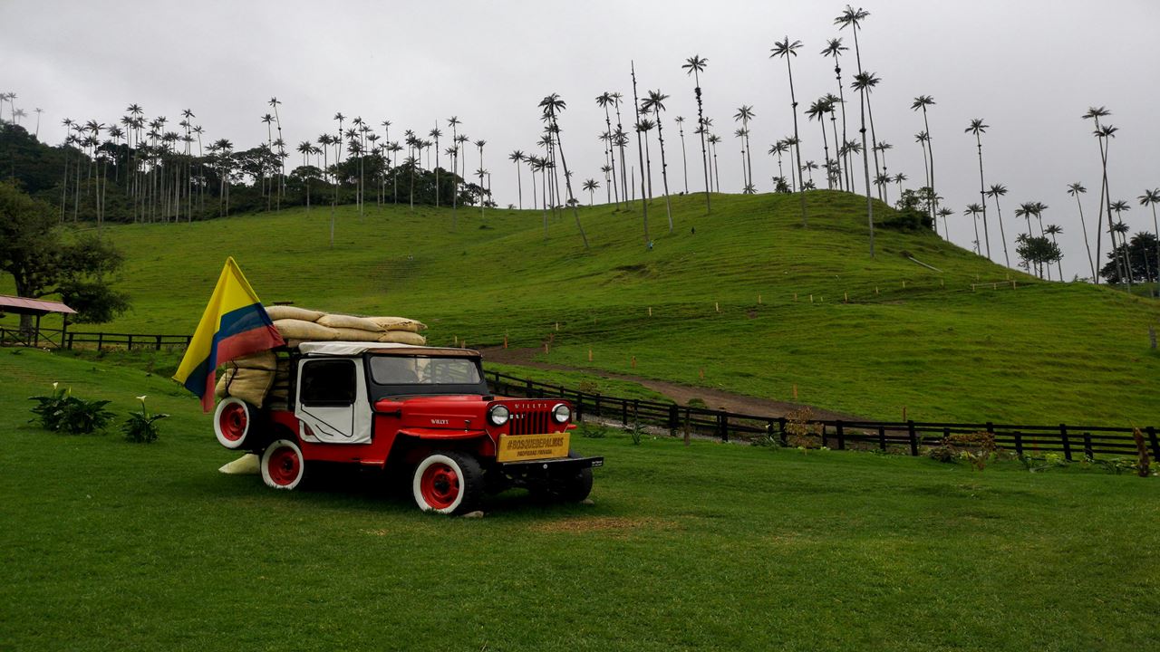 Colômbia Essencial Em 8 Dias: Bogotá E A Região Cafeeira foto 9