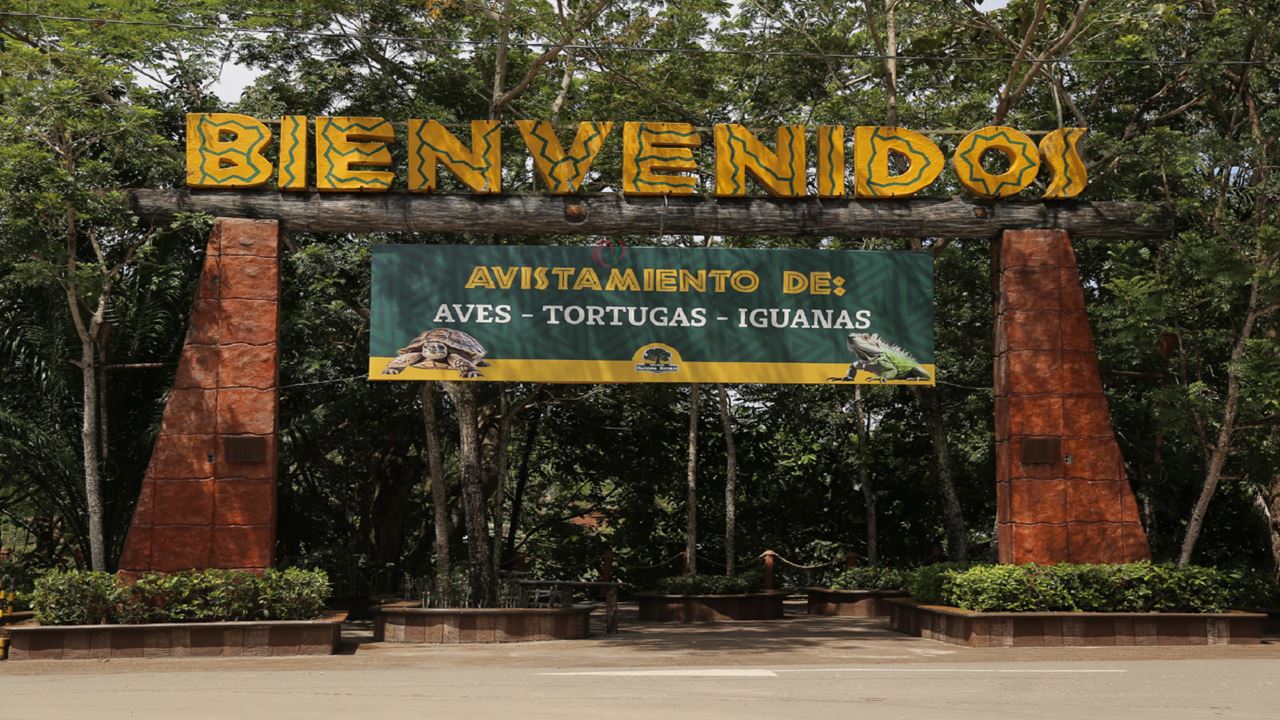Passeio Icônico Por Antioquia foto 4