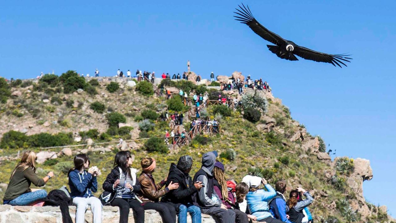 Arequipa E Puno Essenciais foto 1