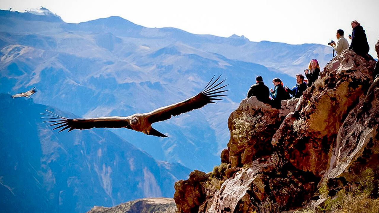 Arequipa Essencial E Cânion Colca foto 14