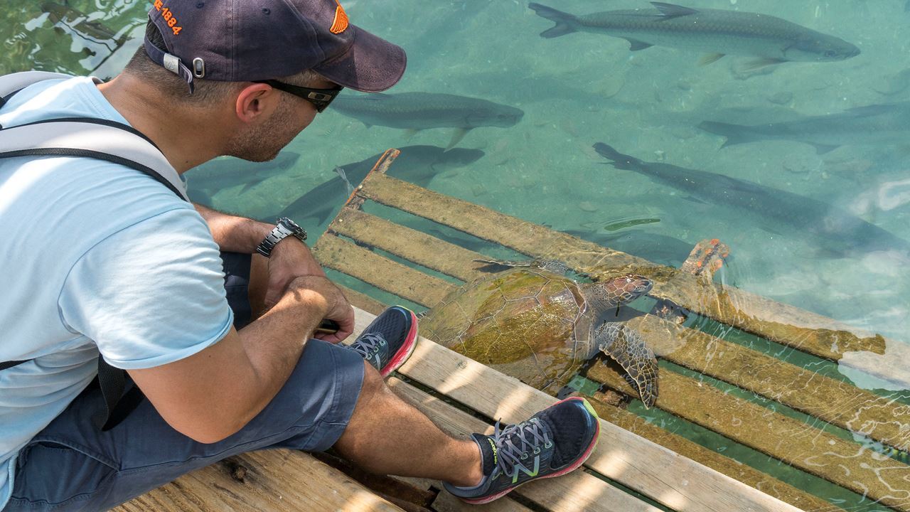 Santa Marta Completa: Caribe E Cultura Em 6 Dias foto 8
