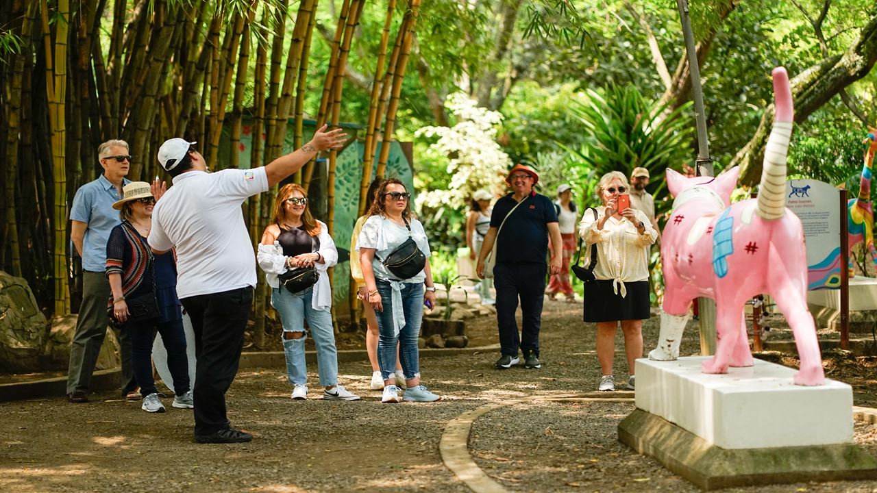 Cali Essencial: Salsa E Cultura Em 2 Dias foto 2
