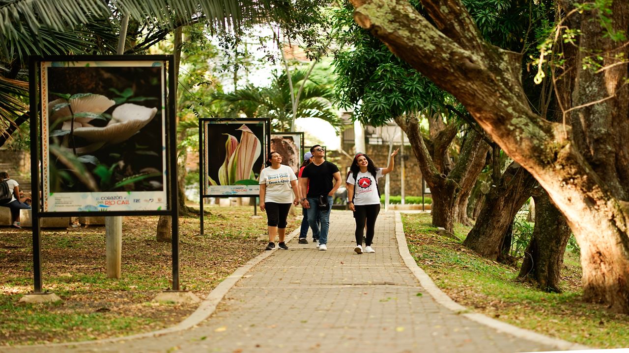 Cali Essencial: Salsa E Cultura Em 2 Dias foto 3