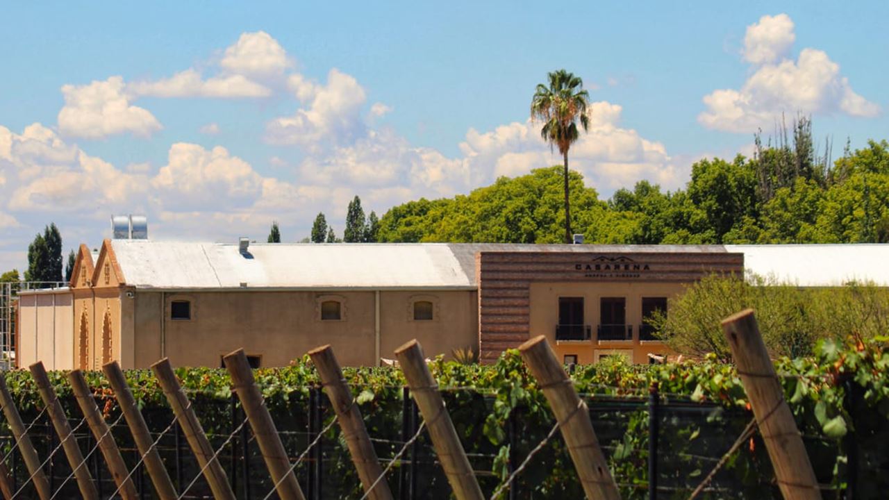 Weingut Casarena foto 3