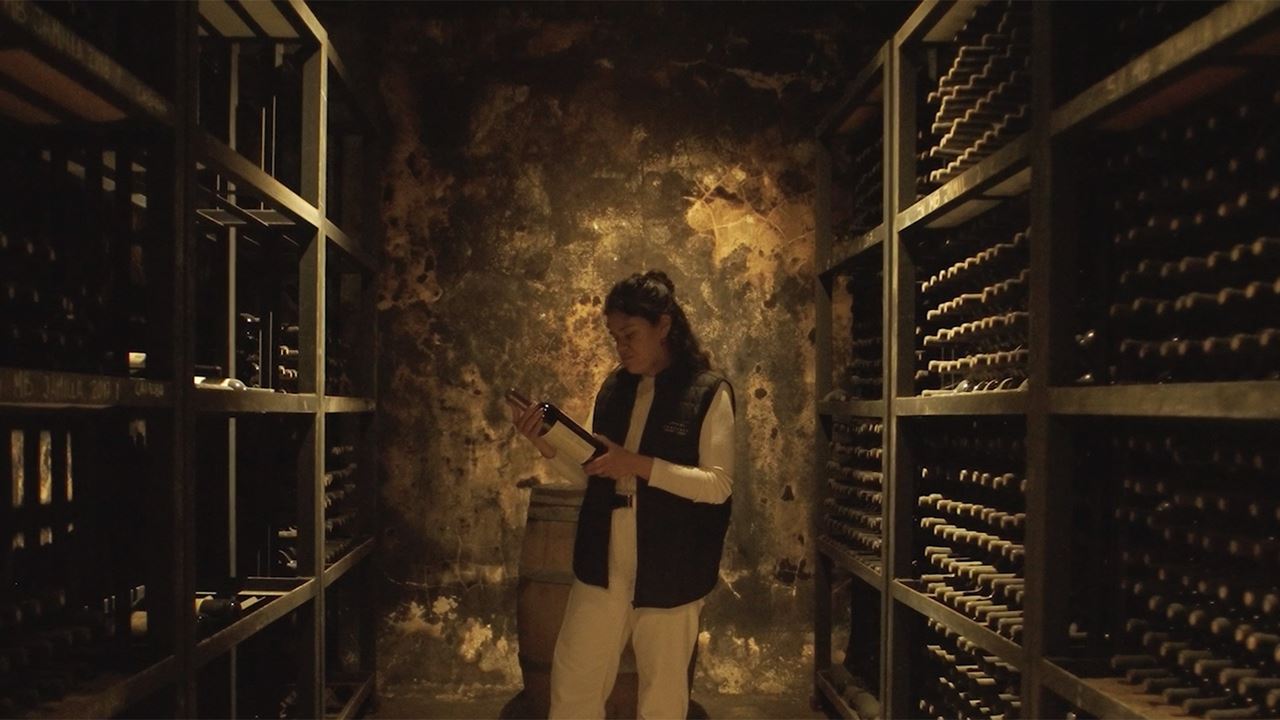 Weingut Casarena foto 8