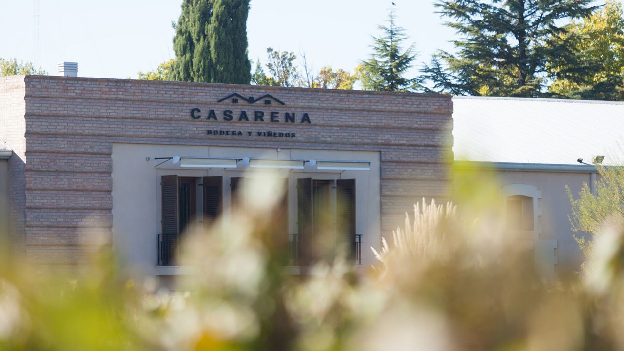 Weingut Casarena foto 4
