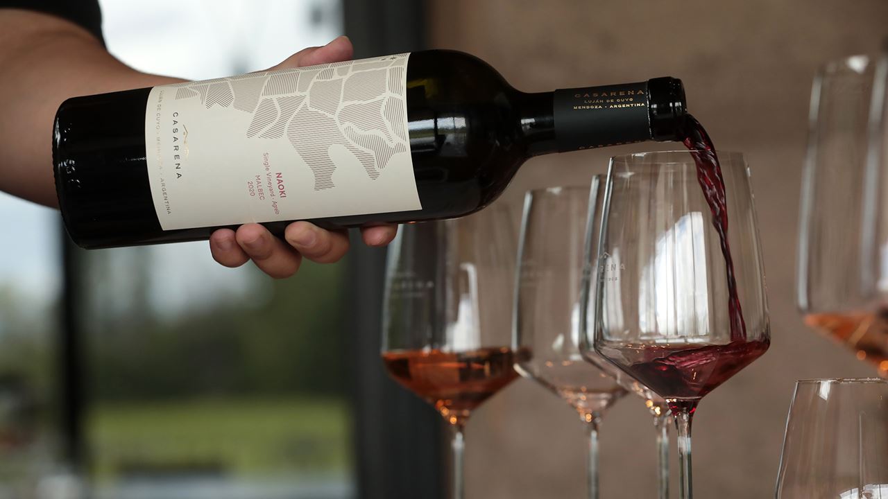 Weingut Casarena foto 10
